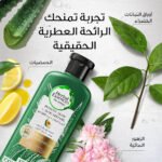 ⁦بلسم هيربل 400مل إسنسز بايو رينيو بالألوفيرا والأفوكادو⁩ - الصورة ⁦3⁩