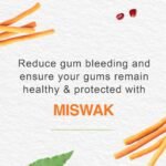 ⁦معجون اسنان عشبي هملايا 100مل⁩ - الصورة ⁦5⁩