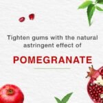 ⁦معجون اسنان عشبي هملايا 100مل⁩ - الصورة ⁦8⁩